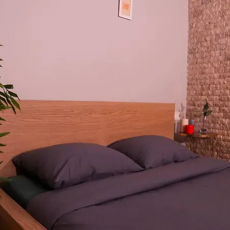 Delux Private Jacuzzi And Sauna Inside The Flat