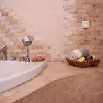 Delux Private Jacuzzi And Sauna Inside The Flat اسطنبول
