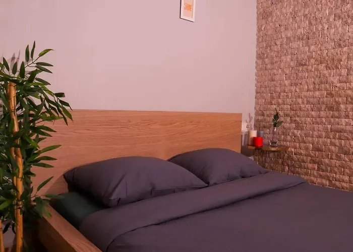 Delux Private Jacuzzi And Sauna Inside The Flat